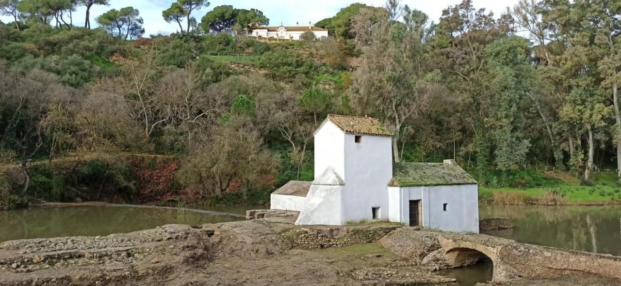 La Casa Del Cura 1935 Διαμέρισμα Alcalá de Guadaira Εξωτερικό φωτογραφία